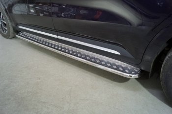 Пороги с площадкой 42,4 мм ТСС Тюнинг KIA Carnival  KA4 (2020-2023) минивэн дорестайлинг (серые)