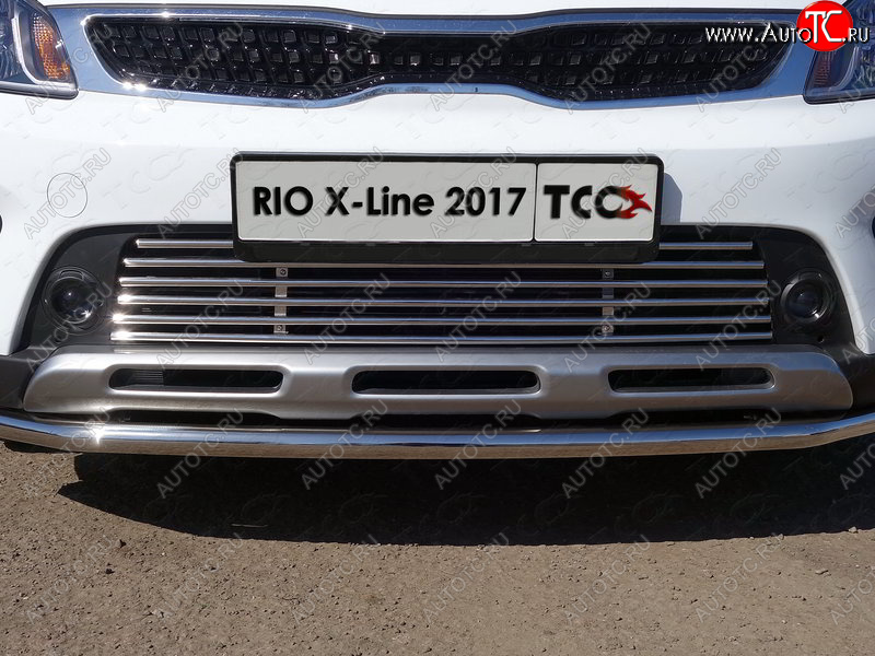 8 799 р. Нижняя декоративная вставка в бампер ТСС Тюнинг KIA Rio X-line (2017-2021) (d 12 мм)  с доставкой в г. Кемерово