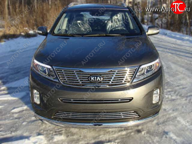 8 799 р. Декоративная вставка переднего бампера ТСС Тюнинг  KIA Sorento  XM (2012-2015) рестайлинг (d 12 мм)  с доставкой в г. Кемерово