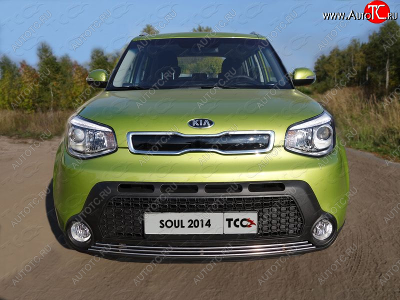 2 199 р. Нижняя декоративная вставка в бампер ТСС Тюнинг  KIA Soul  PS (2014-2016) дорестайлинг (d 12 мм)  с доставкой в г. Кемерово