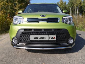 2 199 р. Нижняя декоративная вставка в бампер ТСС Тюнинг  KIA Soul  PS (2014-2016) дорестайлинг (d 16 мм)  с доставкой в г. Кемерово. Увеличить фотографию 1