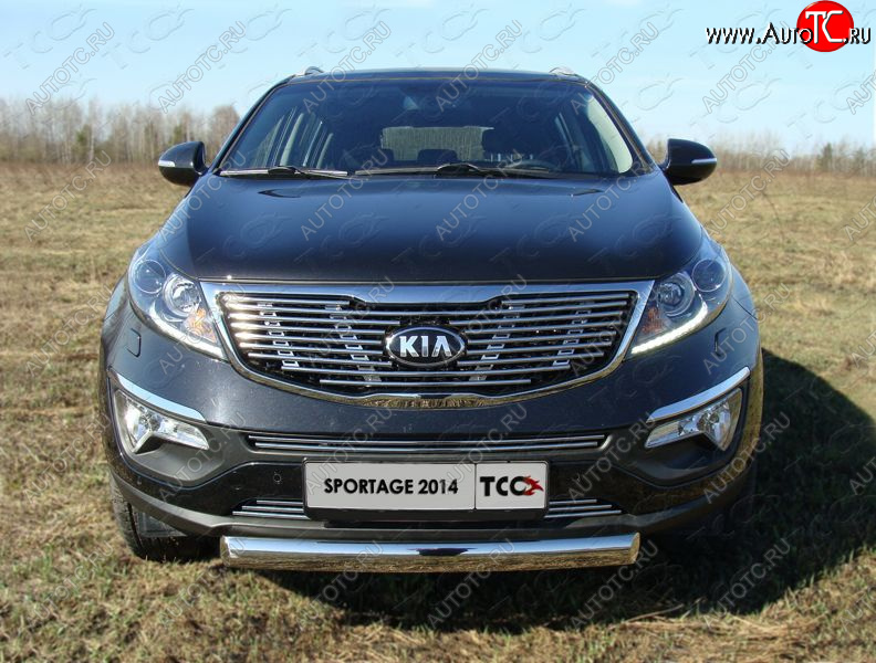 2 899 р. Средняя декоративная вставка в бампер ТСС Тюнинг  KIA Sportage  3 SL (2014-2016) рестайлинг (d 12 мм)  с доставкой в г. Кемерово