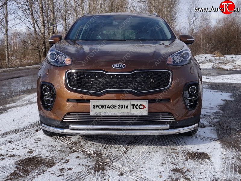 5 849 р. Декоративная вставка переднего бампера ТСС Тюнинг  KIA Sportage  4 QL (2016-2018) дорестайлинг (d 12 мм)  с доставкой в г. Кемерово