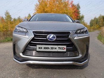 7 349 р. Декоративная вставка переднего бампера (кроме F-Sport) ТСС Тюнинг  Lexus NX300h  Z10 (2014-2017) дорестайлинг (d 12 мм)  с доставкой в г. Кемерово. Увеличить фотографию 1