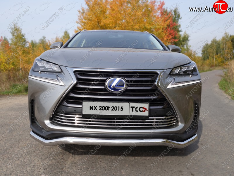 7 349 р. Декоративная вставка переднего бампера (кроме F-Sport) ТСС Тюнинг  Lexus NX200T  Z10 (2014-2017) (d 12 мм)  с доставкой в г. Кемерово