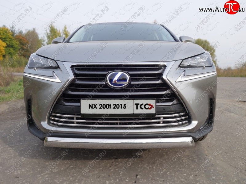 8 799 р. Декоративная вставка переднего бампера (кроме F-Sport) ТСС Тюнинг  Lexus NX200T  Z10 (2014-2017) (d 16 мм)  с доставкой в г. Кемерово