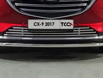 Нижняя декоративная вставка в бампер ТСС Тюнинг Mazda CX-9 TC дорестайлинг (2015-2025) (d 16 мм)