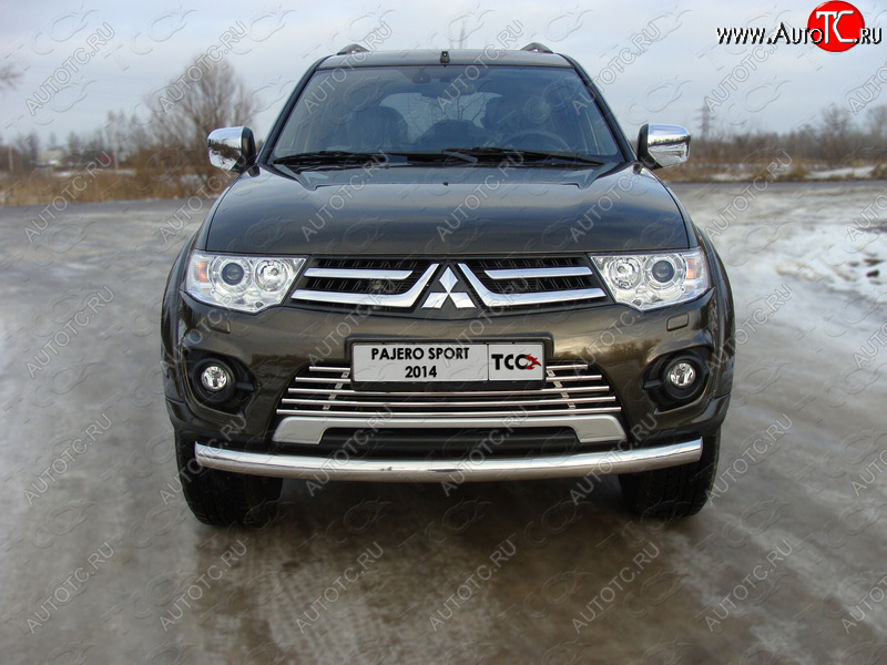 8 799 р. Декоративная вставка переднего бампера ТСС Тюнинг  Mitsubishi Pajero Sport  PB (2013-2017) рестайлинг (d 16 мм)  с доставкой в г. Кемерово