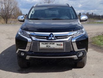 8 799 р. Декоративная вставка переднего бампера ТСС Тюнинг  Mitsubishi Pajero Sport  QE (2015-2021) дорестайлинг (d 12 мм)  с доставкой в г. Кемерово. Увеличить фотографию 1