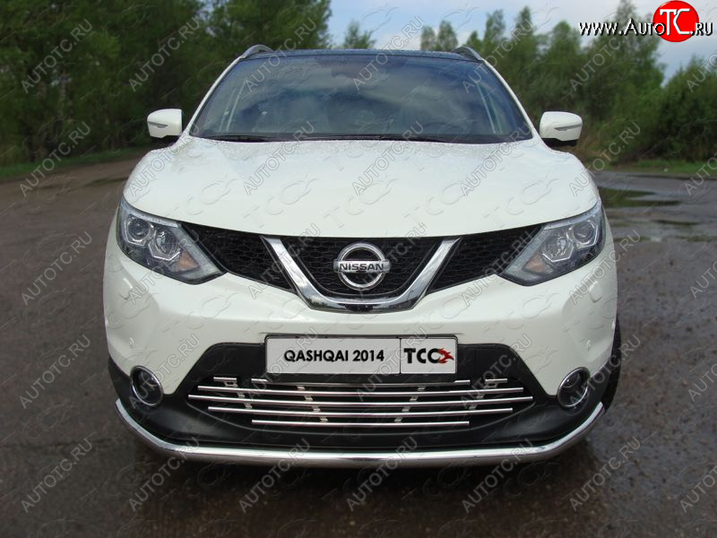 8 799 р. Декоративная вставка переднего бампера ТСС Тюнинг  Nissan Qashqai  2 (2013-2019) J11 дорестайлинг (d 16 мм)  с доставкой в г. Кемерово