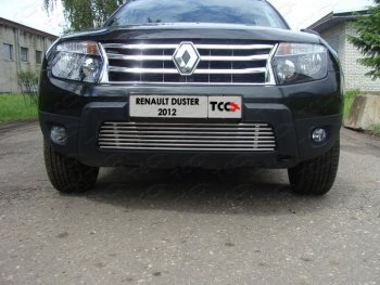 7 349 р. Декоративная вставка переднего бампера ТСС Тюнинг  Renault Duster  HS (2010-2015) дорестайлинг (d 12 мм)  с доставкой в г. Кемерово. Увеличить фотографию 1