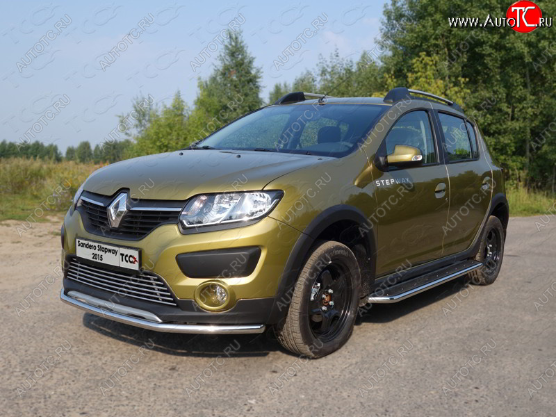 11 749 р. Защита переднего бампера нижняя d42,4 мм ТСС Тюнинг  Renault Sandero Stepway  (B8) (2014-2018) дорестайлинг (нержавейка)  с доставкой в г. Кемерово