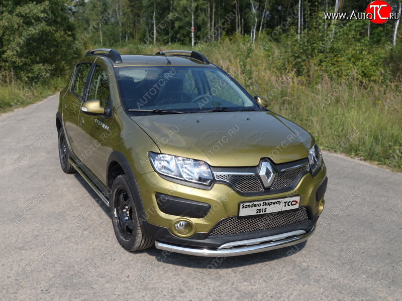 14 699 р. Защита переднего бампера нижняя d60,3 мм ТСС Тюнинг  Renault Sandero Stepway  (B8) (2014-2018) дорестайлинг (нержавейка)  с доставкой в г. Кемерово