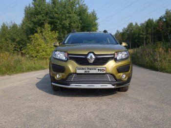 7 349 р. Нижняя декоративная вставка в бампер ТСС Тюнинг  Renault Sandero Stepway  (B8) (2014-2018) дорестайлинг (d 12 мм)  с доставкой в г. Кемерово. Увеличить фотографию 1