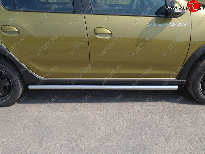 19 599 р. Защита порогов труба d60,3 мм ТСС Тюнинг  Renault Sandero Stepway  (B8) (2014-2018) дорестайлинг (серые)  с доставкой в г. Кемерово
