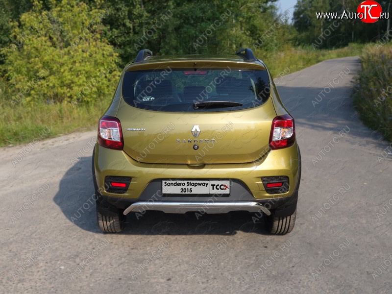 11 749 р. Защита задняя (нержавейка 42,4 мм), ТСС Тюнинг  Renault Sandero Stepway  (B8) (2014-2018) дорестайлинг  с доставкой в г. Кемерово