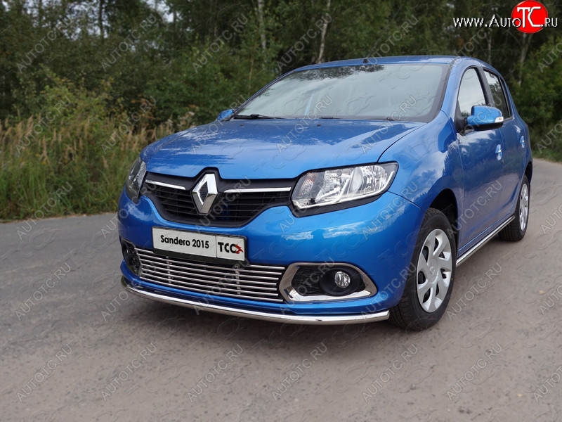 8 799 р. Нижняя декоративная вставка в бампер ТСС Тюнинг Renault Sandero (B8) дорестайлинг (2014-2018) (d 12 мм)  с доставкой в г. Кемерово