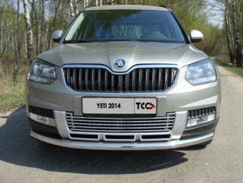 Декоративная вставка переднего бампера (только для комплектации Outdoor) ТСС Тюнинг Skoda Yeti (2013-2018) (d 12 мм)