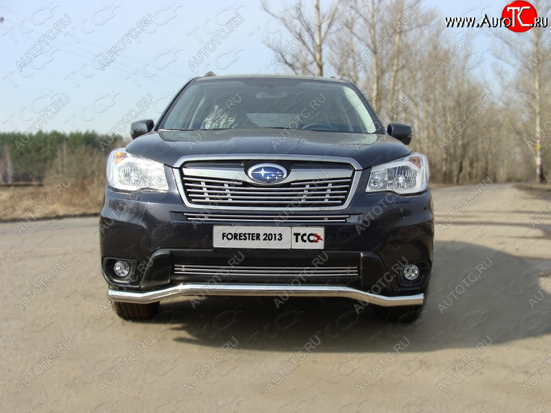 8 799 р. Верхняя декоративная вставка решетки радиатора ТСС Тюнинг  Subaru Forester  SJ (2012-2016) дорестайлинг (d 12 мм)  с доставкой в г. Кемерово