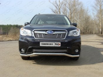 Средняя декоративная вставка в бампер ТСС Тюнинг Subaru Forester SJ дорестайлинг (2012-2016) ()