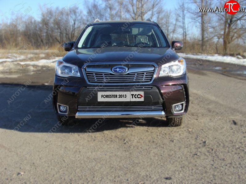 4 299 р. Нижняя декоративная вставка в бампер (спорт) ТСС Тюнинг  Subaru Forester  SJ (2012-2016) дорестайлинг (d 12 мм)  с доставкой в г. Кемерово