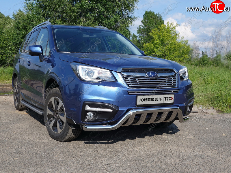 8 799 р. Верхняя декоративная вставка решетки радиатора ТСС Тюнинг  Subaru Forester  SJ (2016-2019) рестайлинг (d 12 мм)  с доставкой в г. Кемерово