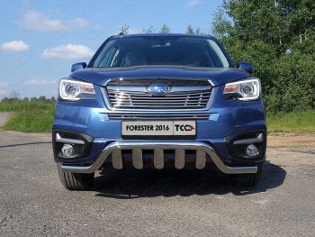 Средняя декоративная вставка в бампер ТСС Тюнинг Subaru Forester  SJ (2016-2019) рестайлинг (d 12 мм)