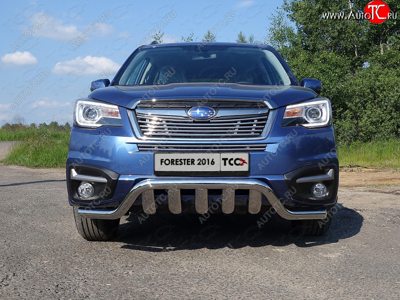 2 899 р. Средняя декоративная вставка в бампер ТСС Тюнинг  Subaru Forester  SJ (2016-2019) рестайлинг (d 12 мм)  с доставкой в г. Кемерово