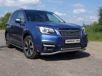 Нижняя декоративная вставка в бампер ТСС Тюнинг Subaru Forester SJ рестайлинг (2016-2019) (d 12 мм)