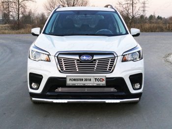 39 749 р. Защита переднего бампера нижняя с ДХО 60,3 мм ТСС Тюнинг  Subaru Forester  SK/S14 (2018-2021) дорестайлинг (нержавейка)  с доставкой в г. Кемерово. Увеличить фотографию 1