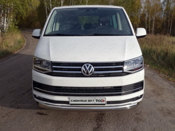 Защита переднего бампера нижняя овальная 75х42 мм ТСС Тюнинг Volkswagen Caravelle T6 дорестайлинг (2015-2019) (нержавейка)