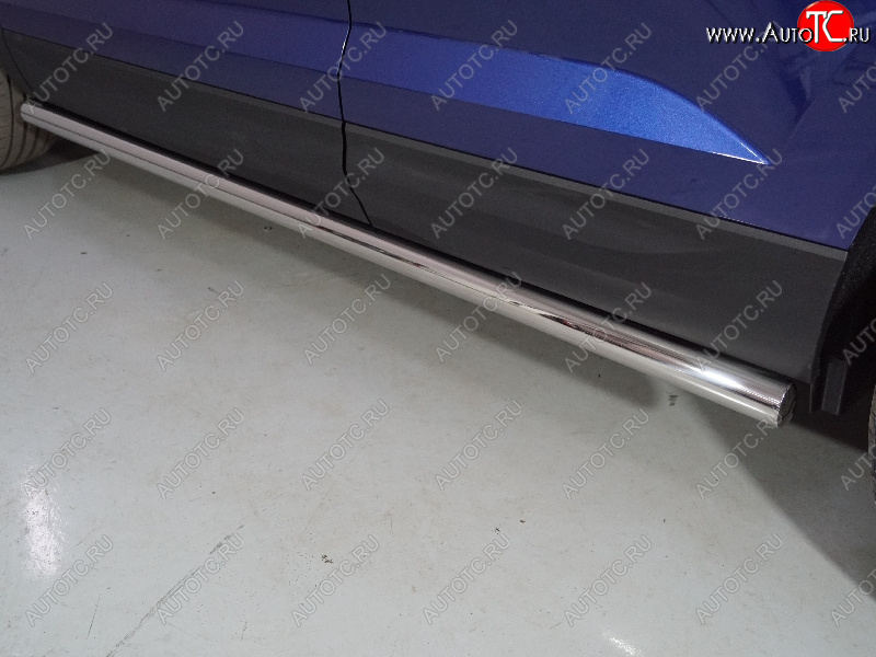 24 949 р. Защита порогов труба d60,3 мм ТСС Тюнинг  Volkswagen Taos (2020-2022) (серые)  с доставкой в г. Кемерово