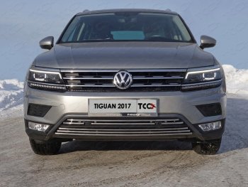 Верхняя декоративная вставка решетки радиатора (пакет Offroad) ТСС Тюнинг Volkswagen Tiguan  Mk2 (2016-2020) дорестайлинг (d 16 мм)