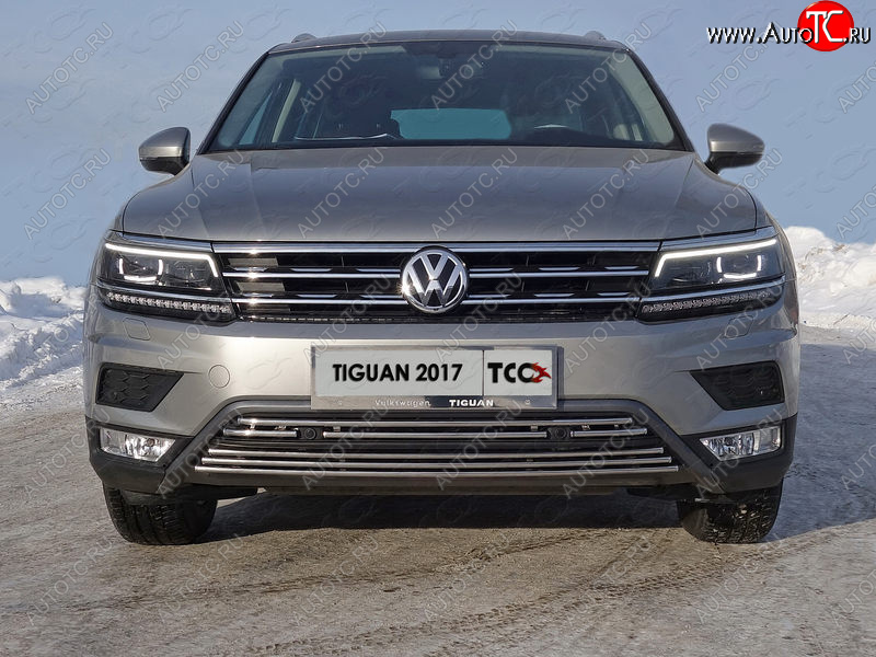 3 679 р. Верхняя декоративная вставка решетки радиатора (пакет Offroad) ТСС Тюнинг  Volkswagen Tiguan  Mk2 (2016-2020) дорестайлинг (d 16 мм)  с доставкой в г. Кемерово