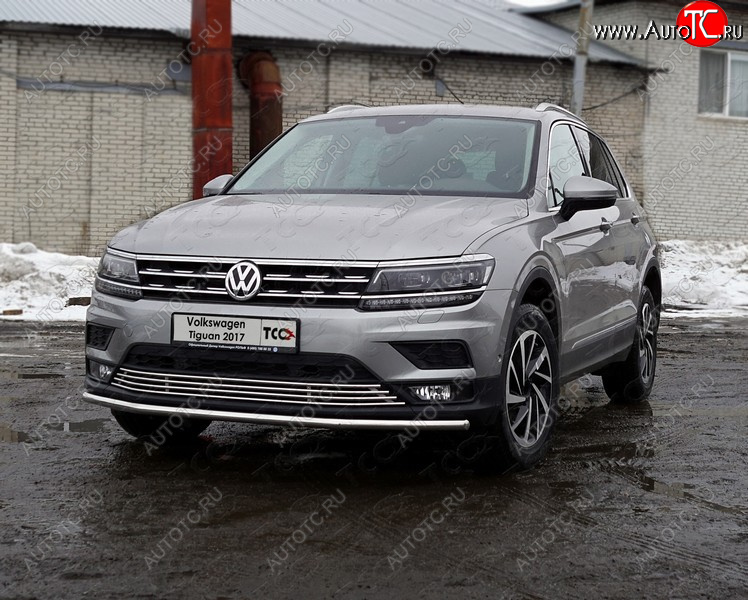 16 699 р. Защита переднего бампера нижняя d42,4 мм ТСС Тюнинг Volkswagen Tiguan Mk2 дорестайлинг (2016-2020) (нержавейка)  с доставкой в г. Кемерово
