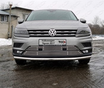 Верхняя декоративная вставка решетки радиатора ТСС Тюнинг Volkswagen Tiguan  Mk2 (2016-2020) дорестайлинг (d 12 мм)