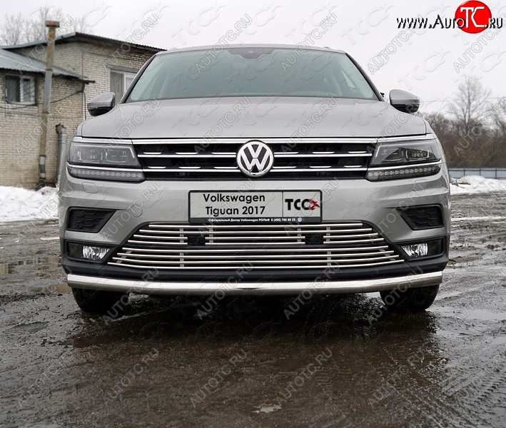 5 999 р. Верхняя декоративная вставка решетки радиатора ТСС Тюнинг  Volkswagen Tiguan  Mk2 (2016-2020) дорестайлинг (d 12 мм)  с доставкой в г. Кемерово