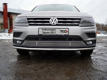Нижняя декоративная вставка в бампер ТСС Тюнинг Volkswagen Tiguan Mk2 дорестайлинг (2016-2020) (d 12 мм)