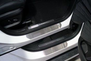 Накладки на пороги, ТСС Тюнинг EXEED TXL (2020-2021)  дорестайлинг (Лист шлифованный)