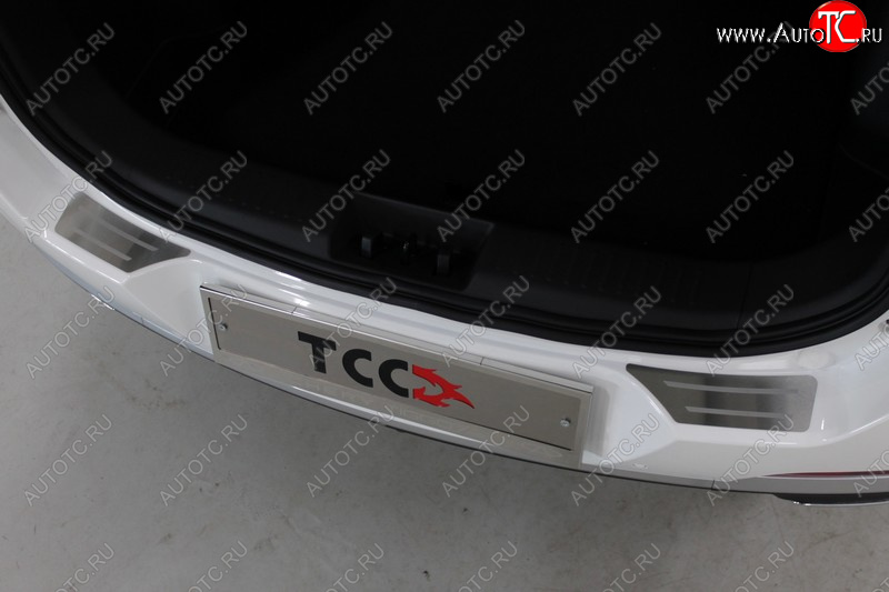 3 099 р. Накладки на задний бампер, ТСС Тюнинг  Chery Tiggo 7 PRO (2019-2025) (лист шлифованный с полосой)  с доставкой в г. Кемерово