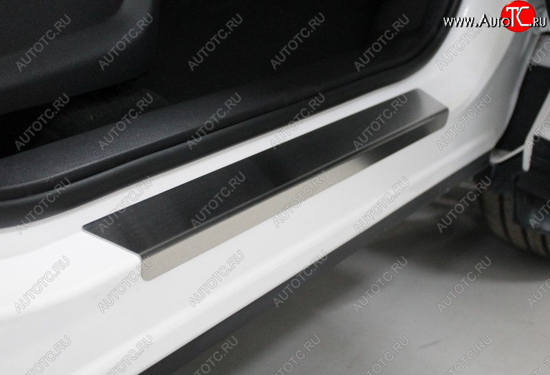 3 879 р. Накладки на пороги, ТСС Тюнинг  Chery Tiggo 7 PRO (2019-2025) (лист шлифованный)  с доставкой в г. Кемерово