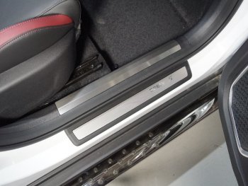 Накладки на пластиковые пороги, ТСС Тюнинг Geely Coolray SX11 дорестайлинг (2018-2023) (лист шлифованный)