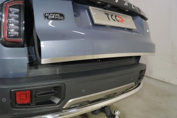 Накладка на заднюю дверь, ТСС Тюнинг Haval Dargo (2022-2025) (Лист шлифованный)