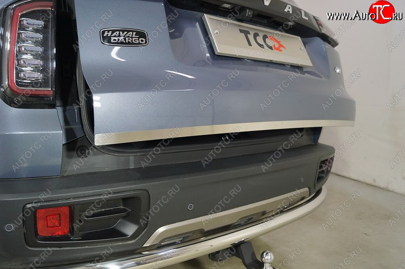 1 499 р. Накладка на заднюю дверь, ТСС Тюнинг  Haval Dargo (2022-2025) (Лист шлифованный)  с доставкой в г. Кемерово