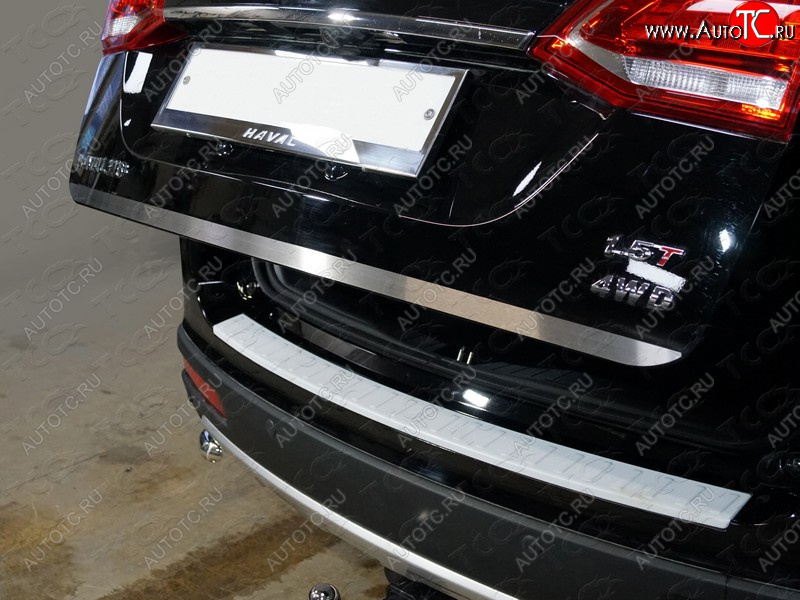 1 749 р. Накладка на заднюю дверь, ТСС Тюнинг  Haval H6 (2013-2020) (Лист шлифованный)  с доставкой в г. Кемерово