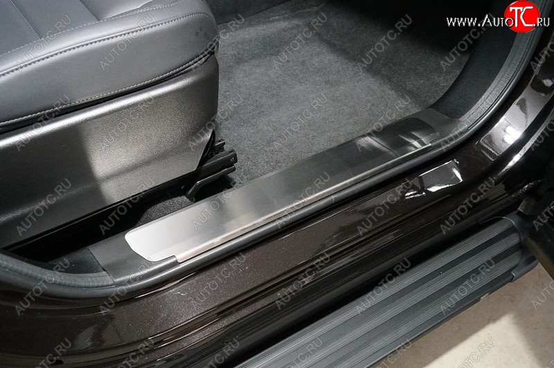 2 989 р. Накладки на пластиковые пороги, ТСС Тюнинг  Haval F7x (2022-2024) рестайлинг (лист шлифованный)  с доставкой в г. Кемерово