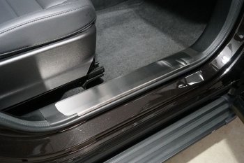 Накладки на пластиковые пороги, ТСС Тюнинг Haval F7 (2022-2024) рестайлинг (лист шлифованный)