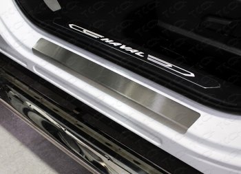 Накладки на пороги, ТСС Тюнинг Haval F7 (2018-2022)  дорестайлинг (лист шлифованный)