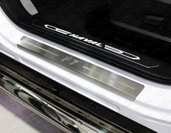 Накладки на пороги, ТСС Тюнинг Haval F7 (2018-2022)  дорестайлинг (лист шлифованный надпись F7)