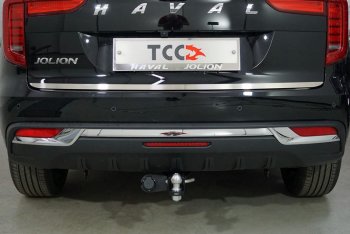 Накладка на заднюю дверь, ТСС Тюнинг Haval Jolion (2020-2025) дорестайлинг, рестайлинг (Лист шлифованный)